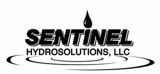 SENTINEL HYDROSOLUTIONS, LLC