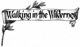 WALKING IN THE WILDERNESS