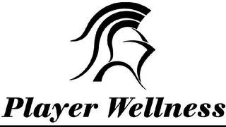 PLAYER WELLNESS