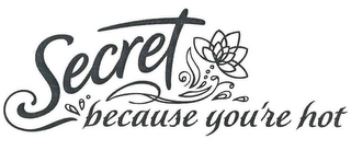 SECRET BECAUSE YOU'RE HOT