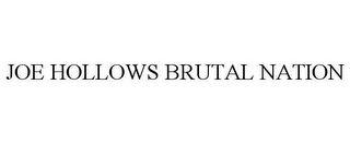 JOE HOLLOWS BRUTAL NATION