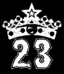 23