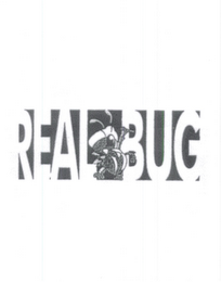 REAL BUG