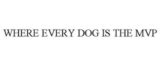 WHERE EVERY DOG IS THE MVP