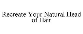 RECREATE YOUR NATURAL HEAD OF HAIR