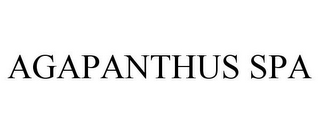 AGAPANTHUS SPA