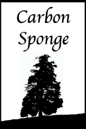 CARBON SPONGE