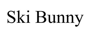 SKI BUNNY