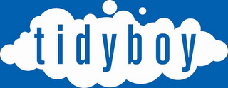 TIDYBOY