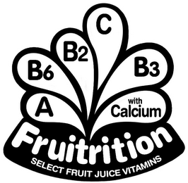 FRUITRITION SELECT FRUIT JUICE VITAMINS A B6 B2 C B3 WITH CALCIUM