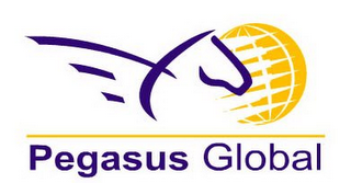 PEGASUS GLOBAL