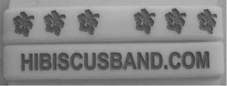 HIBISCUSBAND.COM
