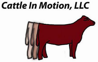 CATTLE IN MOTION, LLC