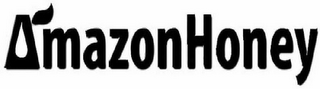 AMAZONHONEY