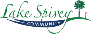 LAKE SPIVEY COMMUNITY