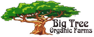 BIG TREE ORGANIC FARMS