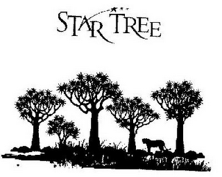 STAR TREE