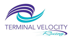 TERMINAL VELOCITY RACING