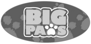 BIG PAWS
