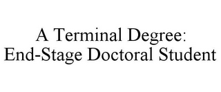 A TERMINAL DEGREE: END-STAGE DOCTORAL STUDENT