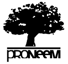 PRONEEM