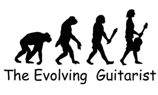 THE EVOLVING GUITARIST