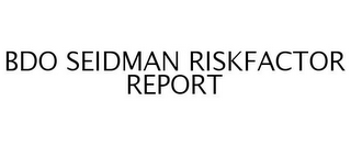 BDO SEIDMAN RISKFACTOR REPORT