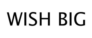 WISH BIG