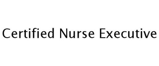 CERTIFIED NURSE EXECUTIVE