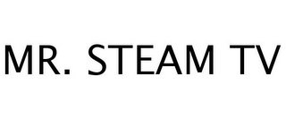 MR. STEAM TV