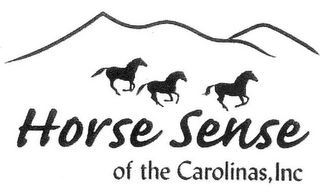 HORSE SENSE OF THE CAROLINAS, INC