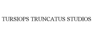 TURSIOPS TRUNCATUS STUDIOS