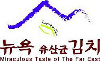 MIRACULOUS TASTE OF THE FAR EAST LACTOBACILLUS