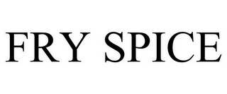 FRY SPICE