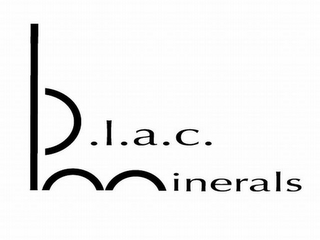 B.L.A.C. MINERALS