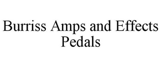 BURRISS AMPS AND EFFECTS PEDALS