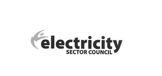 ELECTRICITY SECTOR COUNCIL