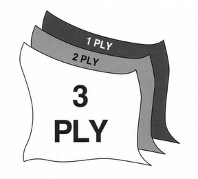 1 PLY 2 PLY 3 PLY