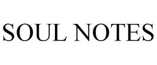 SOUL NOTES