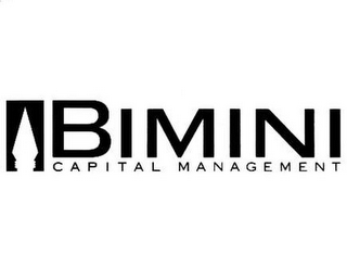 BIMINI CAPITAL MANAGEMENT