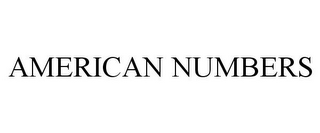 AMERICAN NUMBERS