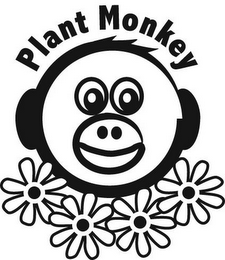 PLANT MONKEY