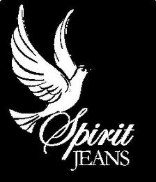 SPIRIT JEANS