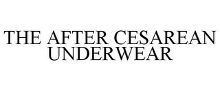 THE AFTER CESAREAN UNDERWEAR