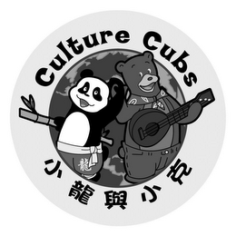 CULTURE CUBS