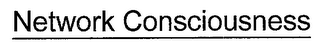 NETWORK CONSCIOUSNESS