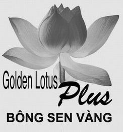 GOLDEN LOTUS PLUS BÔNG SEN VÀNG