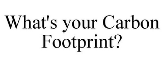 WHAT'S YOUR CARBON FOOTPRINT?
