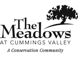 THE MEADOWS AT CUMMINGS VALLEY A CONSERVATION COMMUNITY