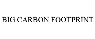 BIG CARBON FOOTPRINT